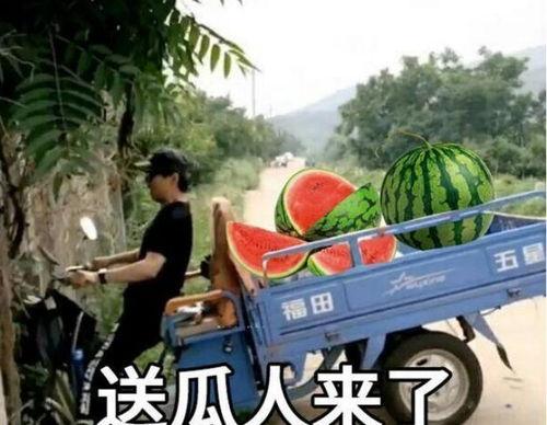 娱乐新闻 第5页